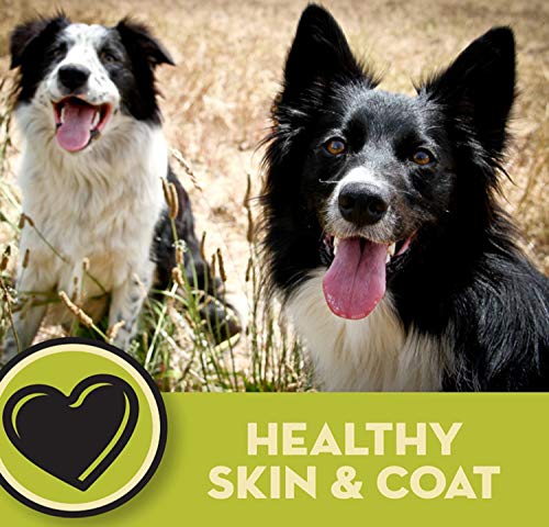  AvoDerm Natural Lamb Meal & Brown Rice Recipe Dry Dog Food, For Allergy Support, 26 Lb