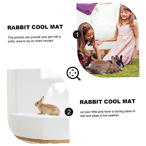  POPETPOP 4 Pcs Rabbit Mat Toys For Guinea Pigs Kitten Toys Guinea Pig Chew Toys Small Animal Grass Mat Small Animal Bedding Hamster Cooling Mat Cooling Grass Mat Natural Pet Bed