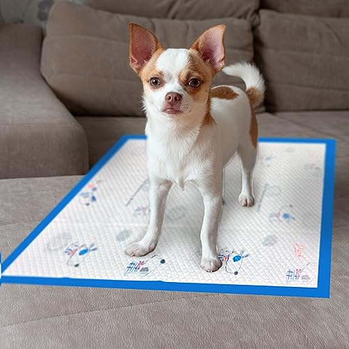  TCOELLSDTS Medium Pet Training And Puppy Pads Pee Pads For Dogs, Disposable Pee Pads For Dogs, Upgraded Absorbent & Leak Proof, 6-Layer, Pee Pee Pads, Dog Print, 17"x23", Pack Of 40
