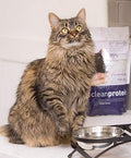  Dr. Elsey's Cleanprotein Grain Free High Protein, Low Carb Dry Cat Food, Chicken, 2lb , Pack Of 1(Packaging May Vary)