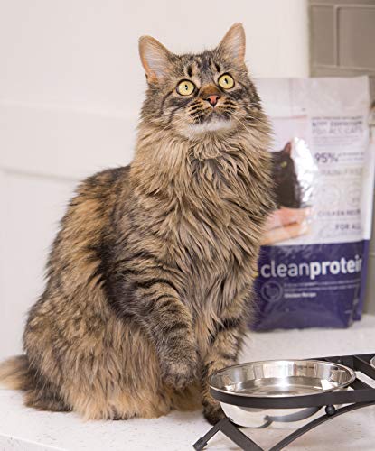  Dr. Elsey's Cleanprotein Grain Free High Protein, Low Carb Dry Cat Food, Chicken, 2lb , Pack Of 1(Packaging May Vary)