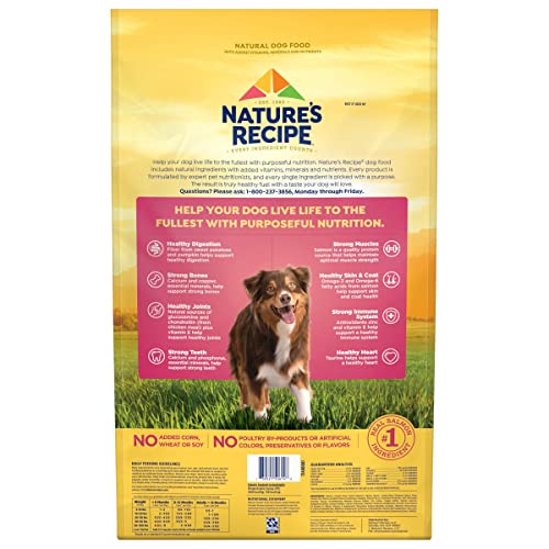  Nature′s Recipe Dry Dog Food, Grain Free Salmon, Sweet Potato & Pumpkin Recipe, 24 Lb. Bag