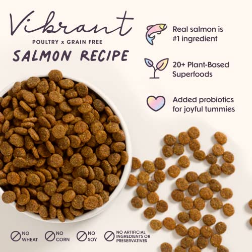  Bundle X Joy Vibrant Salmon Superfood Dog Food - 4lb Bag - Probiotics - Poultry Free