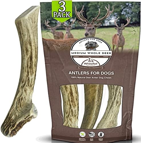  WhiteTail Naturals | 3 Pack Medium | Deer Antler Dog Chews | All Natural Organic Antlers For Dogs | Long Lasting Antler Bones For Dogs | Durable Antler Dog Toy