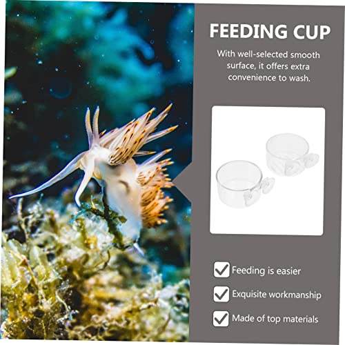  EVANEM 2pcs Feeding Cup Glass Dispenser Accessory Tray Aquarium Plant Feeder Fish Tank Shrimp Feeder Aquatic Pet Food Cup Aquarium Feeding Tools Floating Food Tray Plastic Fish Feeder