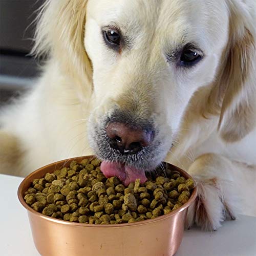  Open Farm Ancient Grains Dry Dog Food, Humanely Raised Meat Recipe With Wholesome Grains And No Artificial Flavors Or Preservatives (Wild Salmon Ancient Grain, 11 Pound (Pack Of 1))