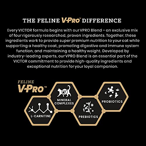  Victor Super Premium Cat Food – Grain Free Fit Feline - Dry Cat Food For Indoor Cats - For All Breeds And All Life Stages From Kitten To Adult, 5lb