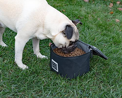  Mobile Dog Gear, Dine Away Replacement Dog Food And Treat Insulated Carriers For Travel, Small Dogs, 5 Cups Each, Set Of 2