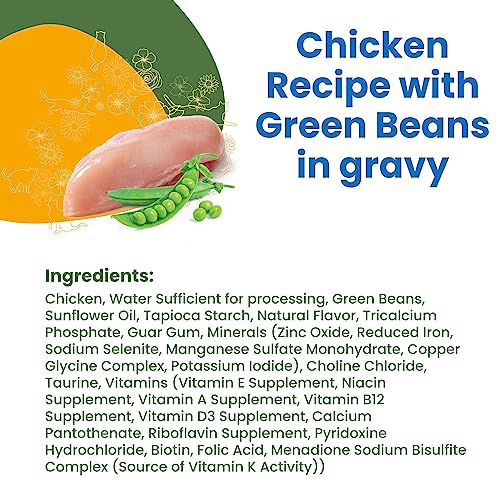  Almo Nature HQS Complete Chicken With Green Bean In Gravy Grain Free Wet Canned Cat Food (Pack Of 24 X 2.47 Oz/70g ) (1704)