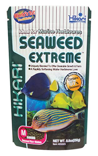  Hikari Usa Inc AHK25323 Seaweed Extreme 8.8-Ounce