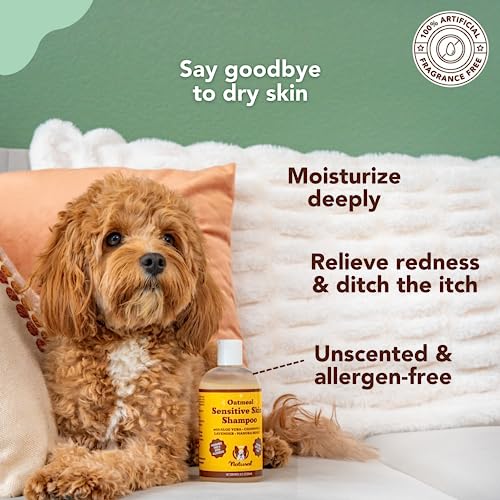  Natural [Dog] Company Oatmeal Sensitive Skin Shampoo, 12 Oz., Dandruff Shampoo, Hypoallergenic, Plant Based Ingredients, Bathing Supplies, Itchy [Skin] Relief For [Dog]s