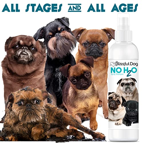  The Blissful Dog No H2O Waterless Pet Shampoo, 16 Oz.