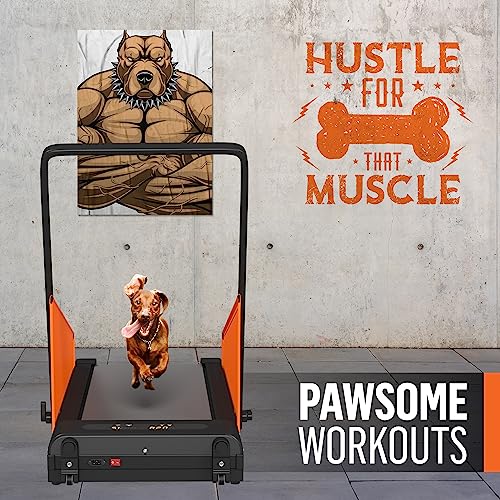  Dog Treadmill Fitness Workout Equipment - Pet Indoor Training For Small And Medium Size Dogs