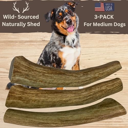  WhiteTail Naturals | 3 Pack Medium | Deer Antler Dog Chews | All Natural Organic Antlers For Dogs | Long Lasting Antler Bones For Dogs | Durable Antler Dog Toy