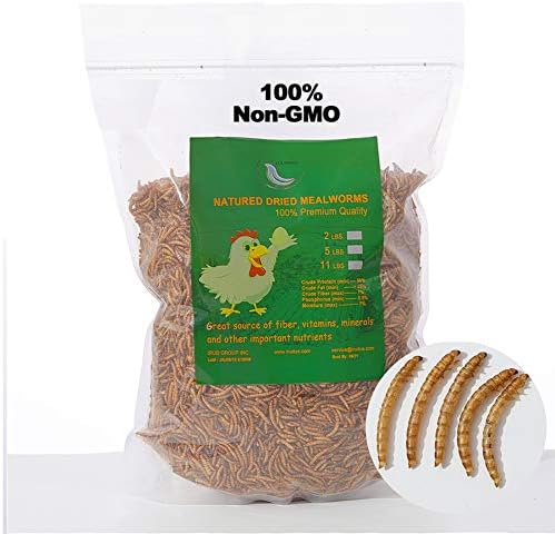  WORKPOINT 22LBS Dried Mealworms For Chickens, 100% Natural Premium Quality Non-GMO, Treats For Poultry, Chickens, Ducks And Geese