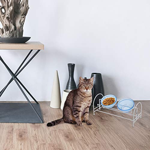  POPETPOP Puppy Water Bowl Double Cat Bowls With Iron Stand Glass Dog Bowls Raised Pet Bowls Food Water Dish Feeder No Spill Non-Skid For Puppy Kitten Glassine