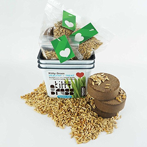  Priscillas Kitty Cat Pet Grass Seed Refill Pack And 100% Organic Soil Pods (Barley, Oats, Wheat And Rye) Over 3 Oz.