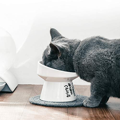  Balacoo Puppy Feeder Puppy Feeder Ceramic Cat Feeding Bowl With Nonslip Bottom Pet Food Water Bowl With Stand For Food Water Dish Ceramic For Cats And Small Dogs Puppy Water Bowl Puppy Water Bowl