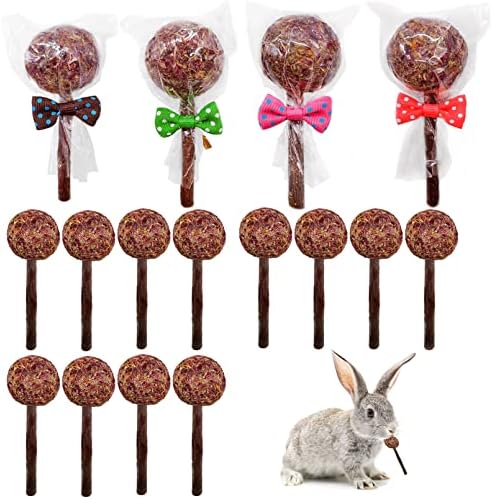  16 Pcs Rabbit Natural Timothy Hay Sticks Guinea Pig Natural Flowers Lollipop Chew Toys Timothy Hay Sticks Wood Molar Toys Small Animal Chew Treats For Bunny Hamsters Chinchillas Gerbils