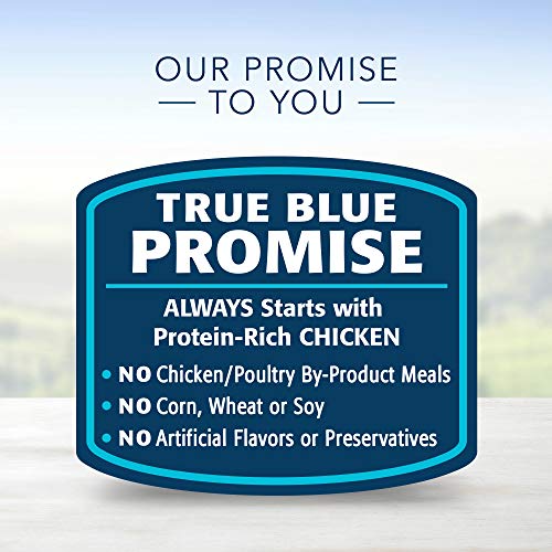  Blue Buffalo Homestyle Recipe Natural Puppy Wet Dog Food, Chicken 12.5-oz Can (Pack Of 12)