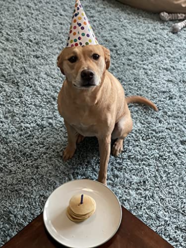  PawCakes - Pancake Mix For Dogs, Veterinarian Developed, All Natural, Gluten Free, Dog And Puppy Treats