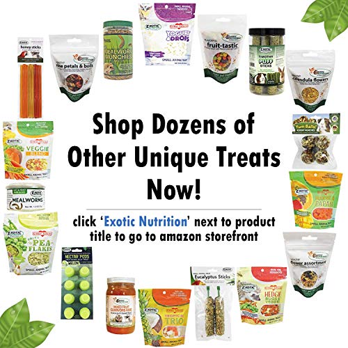  Exotic Nutrition Herbivore Treats 6 Pack - Healthy Assortment Small Animal Pet Treat - Squirrels, Guinea Pigs, Rabbits, Chinchillas, Prairie Dogs, Degus, Hamsters, Gerbils, Herbivores