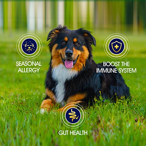  Yuma Natural Flea And Tick Chews For Dogs- Coriander, Neem. Flax Seed And Vitamins Complex For Flea And Tick Prevention For Dogs