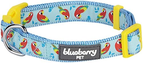  Blueberry Pet Essentials 10 Patterns Statement Busy Bees Designer Adjustable Dog Collar, Large, Neck 18"-26"