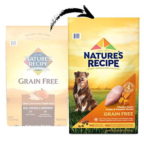  Nature′s Recipe Dry Dog Food, Grain Free Chicken, Sweet Potato & Pumpkin Recipe, 24 Lb. Bag