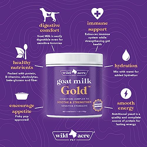  Wild Acre Goat Milk Powder For Dogs - Probiotic, Prebiotic And Complete Protein Goat Milk Powder For Dogs, Puppies And Cats - 7oz Of Goat Milk Gold