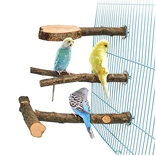  JYDQM 3Pcs/Set Bird Toy T-Shaped Wooden Bird Perches Parrot Stand Playstand Play Toys For Budgie