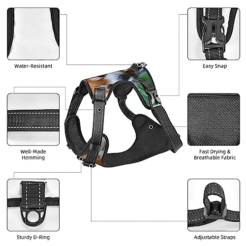  Pet Dog Vest Harness Set Red Panda Eat Food Dog Harness For Small Medium And Large Dogs