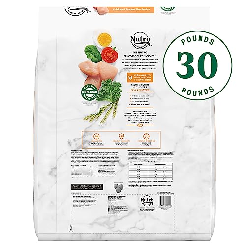  NUTRO NATURAL CHOICE Small Bites Adult Dry Dog Food, Chicken & Brown Rice Recipe Dog Kibble, 30 Lb. Bag