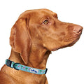  CUTIE TIES Dog Collar Flamingos– Durable Nylon Material - Premium Quality Collars For Dogs - Fancy Collars - Cute Dog Collars In Three Sizes (Flamingos, Large (16" - 26"))