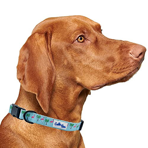  CUTIE TIES Dog Collar Flamingos– Durable Nylon Material - Premium Quality Collars For Dogs - Fancy Collars - Cute Dog Collars In Three Sizes (Flamingos, Large (16" - 26"))