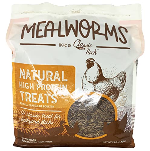  Classic Flock 5LB Dried Mealworms Non-GMO High Protein Treats For Chicken, Wild Birds, Ducks, Fish, Hedgehogs, Lizards, Reptiles