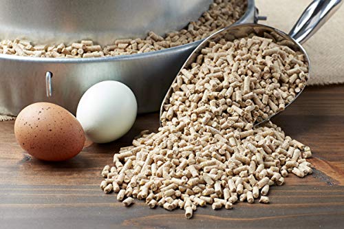  Purina Layena | Nutritionally Complete Layer Hen Feed Pellets | 10 Pound (10 Lb) Bag