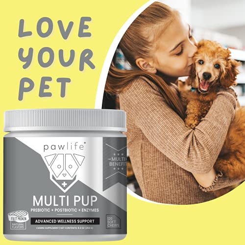  Daily Multivitamin Supplement Chews For Dogs - Joint Support, Digestive Enzymes, Immune System & Mobility, Probiotics For Dogs - Pawlife Multipup 5 In 1 Advanced Wellness Support
