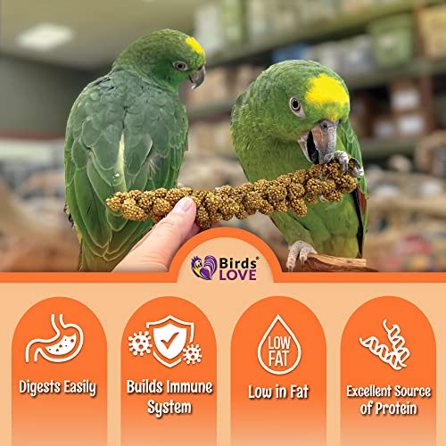  Birds LOVE Wholesome & Lovely Spray Millet Non-GMO No Pesticide (No Stems Only Edible Tops) For Parrots Birds Cockatiel Lovebird Keets Finch Canary All Parrots Healthy Treat-5lbs…