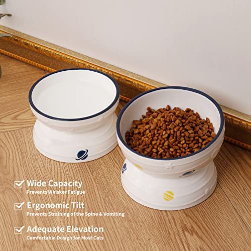  Hasense Tilted Cat Bowl Anti Vomiting, Double Raised Cat Bowls For Food And Water, Elevated Ceramic Small Dog Feeder, Protect Pet's Spine, Dishwasher Safe, Porcelain Slanted Dishes, White Set Of 2
