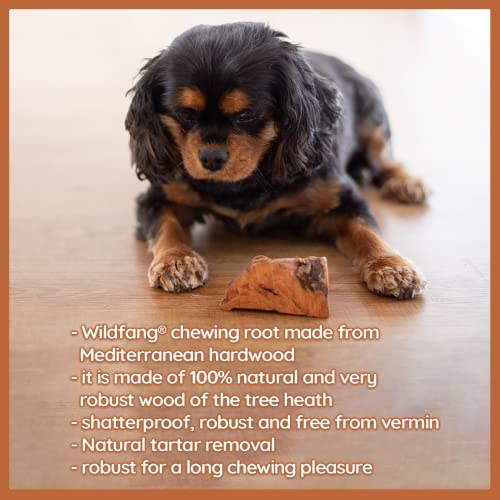  Wildfang® | Chewing Root Made From Tree Heather For Dogs, Dental Care & Masticatory Muscle Training, Natural Chew Toy……