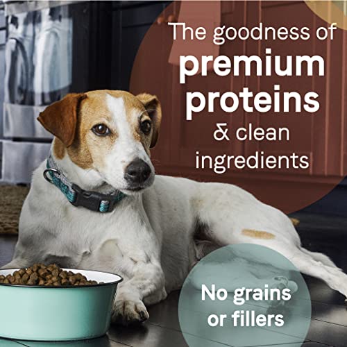  Canidae PURE Limited Ingredient Premium Adult Dry Dog Food, Lamb And Pea Recipe, 12 Pounds, Grain Free