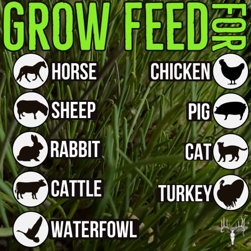  Crooked Bend Mother Fodder Blend, 8LB EcoPack, Grain Seeds For Bird Food & Growing Fresh Green Grass Sprouts To Feed Pet Rabbits, Cows, Horse, Chicken, Goat, Sheep, Quail, Dog, Cat, Duck & Tortoise