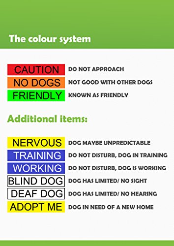  DO NOT Feed (Dog Is On A Diet/Has Food Allergies) Purple Colour Coded S-M L-XL Dog Collars Prevents Accidents By Warning Others Of Your Dog In Advance (L-XL)