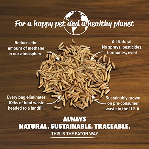  Eaton Pet & Pasture Premium Grubs, USA Black Soldier Fly Larvae, More Nutritious Than Mealworms, 50x Calcium, Chicken Treats, Sustainable & All-Natural Grubs For Chickens, Hens, Birds, Ducks, 1 LB