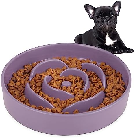  Sted Slow Feeder Dog Bowls Ceramic, 2.5 Cups Slow Feeder Dog Bowls Small Medium Breed, Dog Food Bowls, Heavy Premium Ceramic Dog Bowls, Help Dog Slow Down Eating, Diameter 8.6 In & Tall 1.6 In, Black
