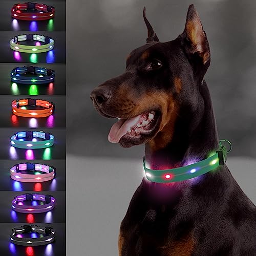  Joytale Light Up Dog Collars Rechargeable, High Visibility LED Dog Collar for Pet Night Walking, 3 Flash Modes, Rainproof PVC Glow Collar Adjustable for Small Medium Large Dogs, Teal, L