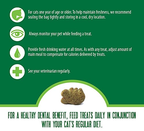  FELINE GREENIES Natural Dental Care Cat Treats Savory Salmon Flavor, 5.5 Oz. Pouch