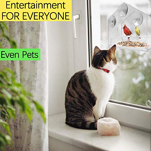  FVOWOH Clear Hanging Hotel Feed Seed Bird Suction Glass Window Table Viewing Pet Toys Time Cat Feeder(l3-Clear)