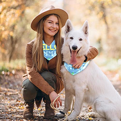  2 Pack Adjustable Dog Bandana,Soft Washable Triangle Bib Hello Summer Cute Food Ice Cream Pineapple Kerchief Scarfs For Small Medium Large Dogs And Cats